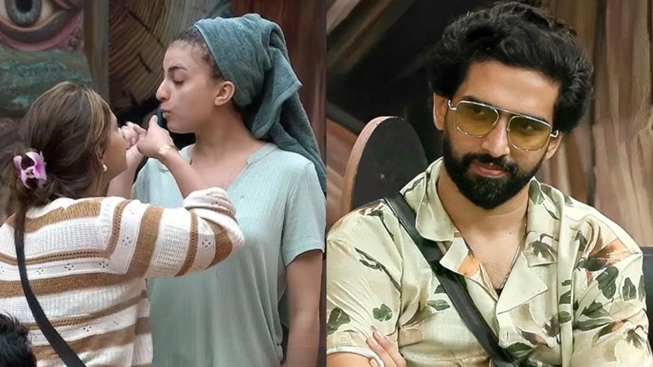 Bigg Boss 19: Farrhana and Neelam quarrel over kitchen duties; Amaal Malik apologises to fans